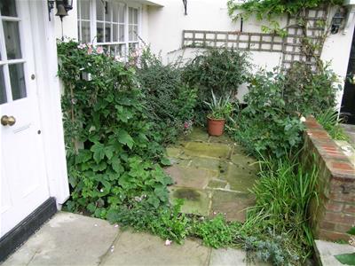 Picture 21